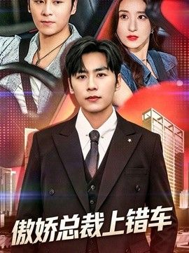傲娇总裁上错车